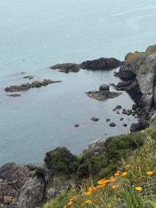 IMG_1200